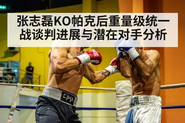 张志磊KO帕克后重量级统一战谈判进展与潜在对手分析